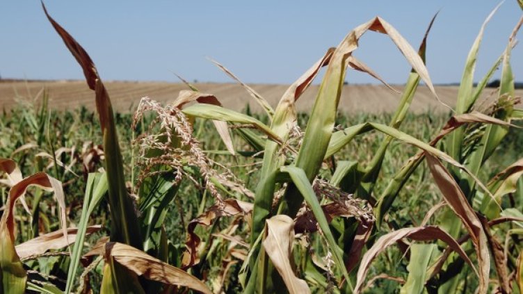 Снимка: архив Reuters