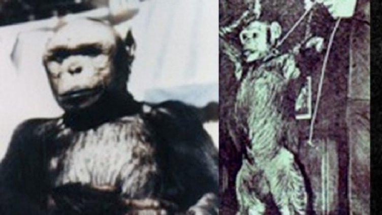 Снимка: Cambridge