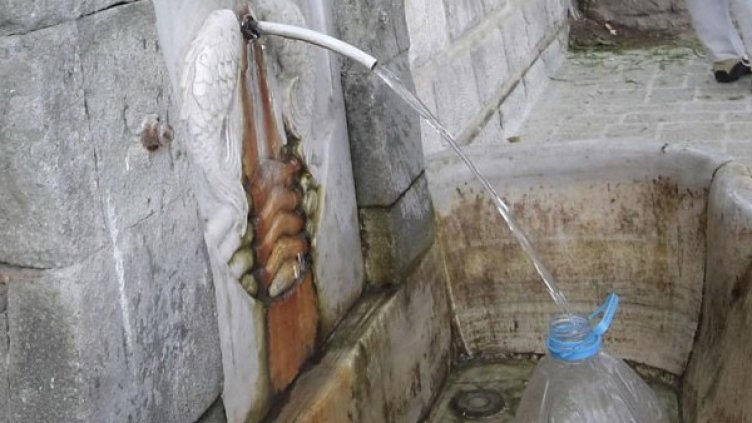 Архив: Булфото