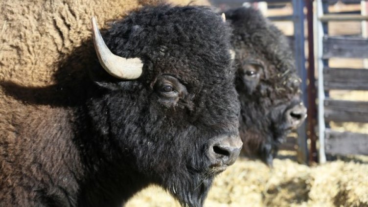 Снимка: Ройтерс, архив