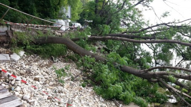 Снимка: Булфото