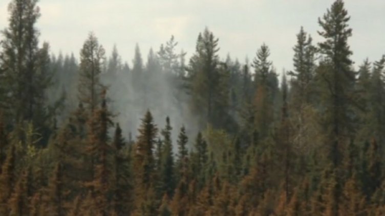 Снимка: Bulgaria On Air