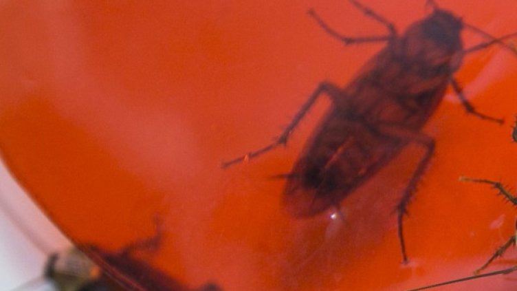 Снимка: Архив Reuters