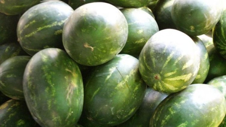 Снимка: Агенция "Митници"