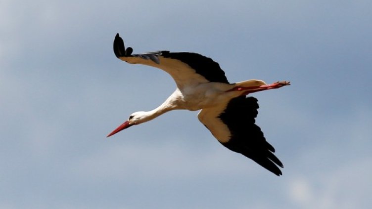 Снимка: Reuters, архив