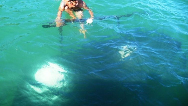 Снимка: архив Булфото