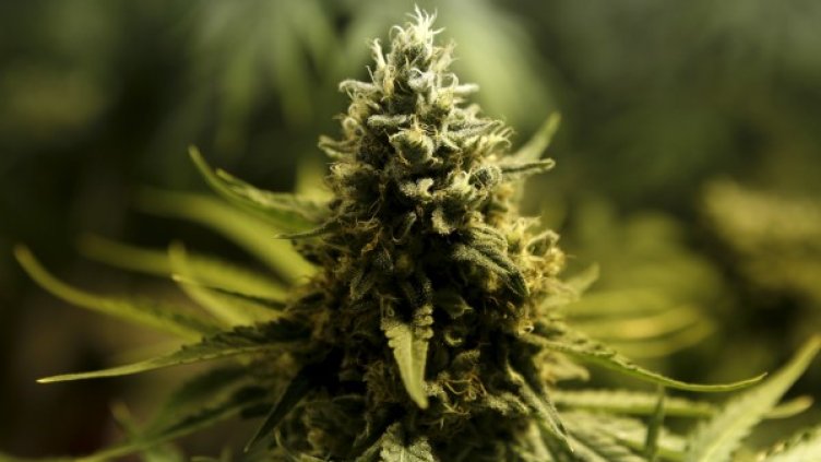 Снимка: Архив Reuters