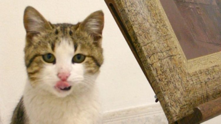 Снимка: архив Булфото