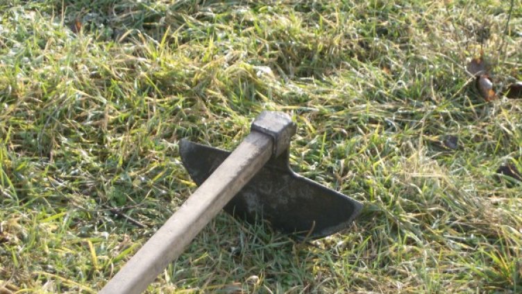 Снимка: flickr