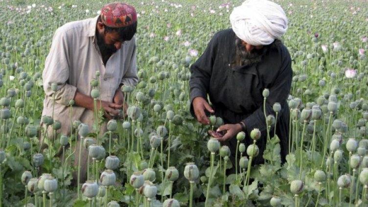 Снимка: архив, Reuters