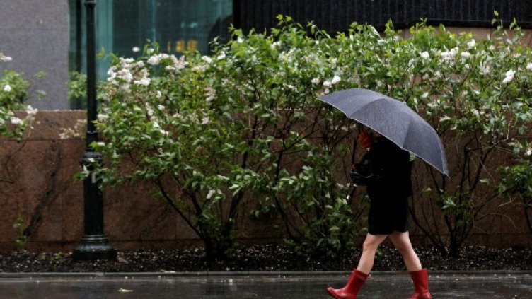 Снимка: Reuters, архив