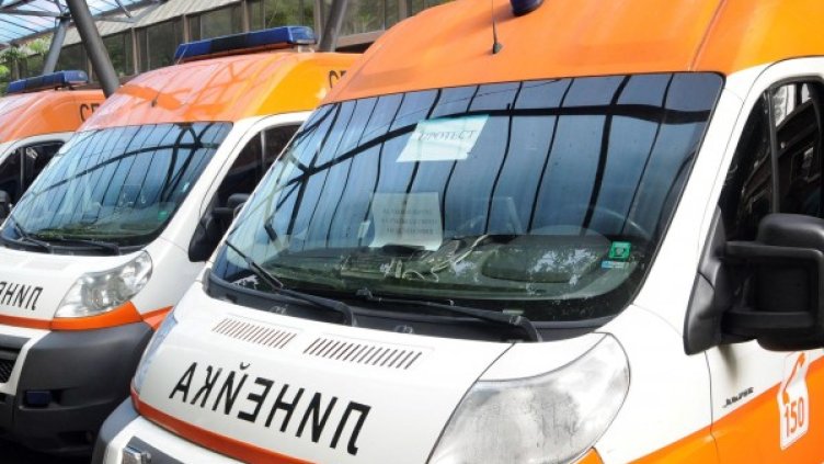 Снимка: архив Булфото