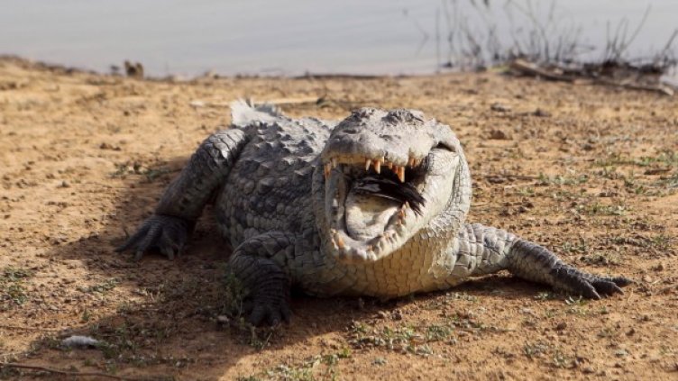 Снимка: архив, Reuters