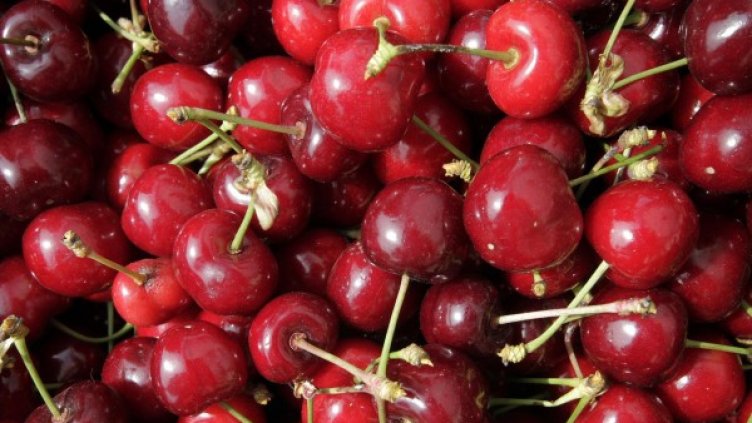 Снимка: архив, Булфото