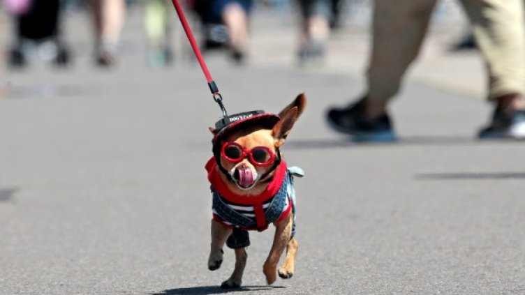 Снимка: архив, Ройтерс