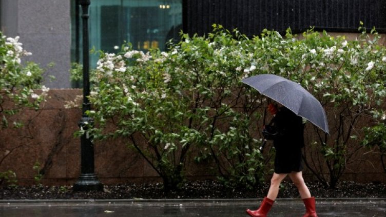 Снимка: Reuters, архив