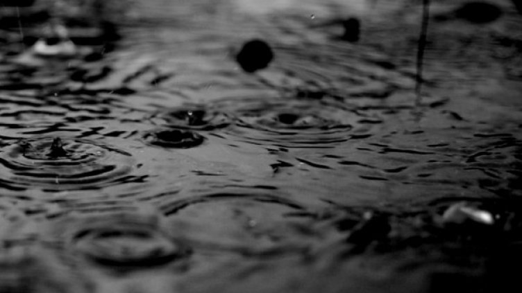 Снимка: flickr