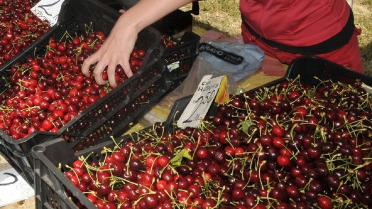 Снимка: архив Bulphoto