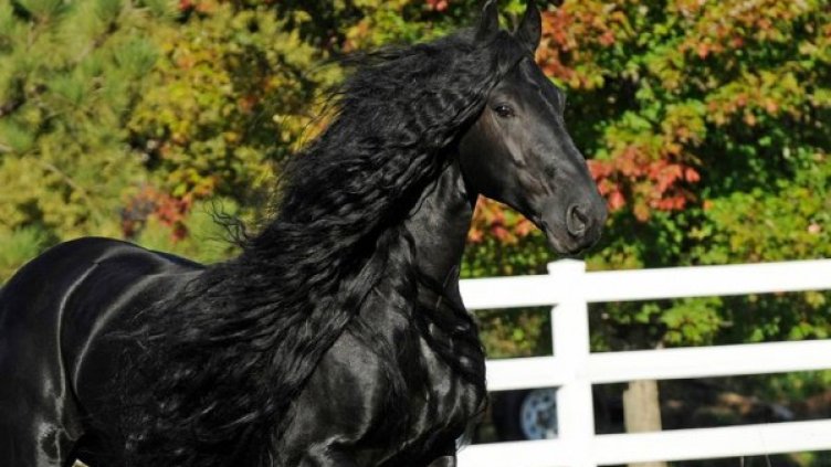 Снимка: Facebook