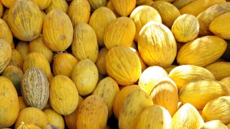 Снимка: Reuters, архив