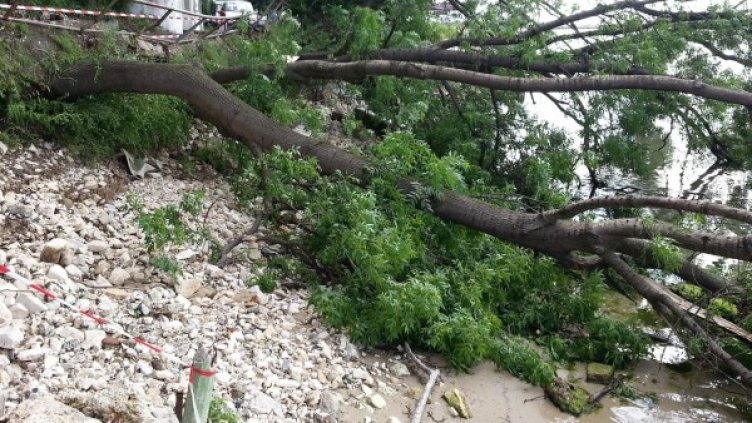 Снимка: Булфото, архив