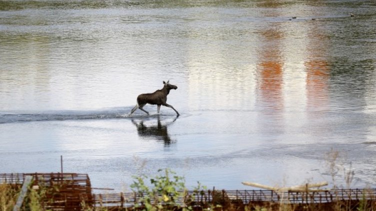 Снимка: архив Reuters