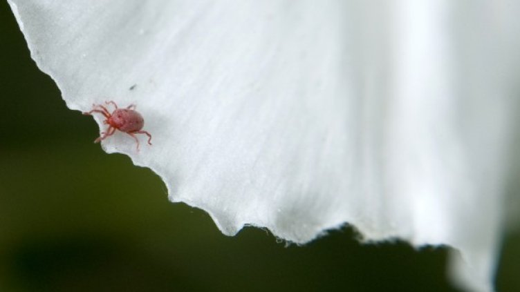 Снимка: архив, Reuters