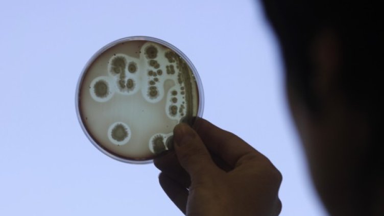 Снимка: Reuters, архив