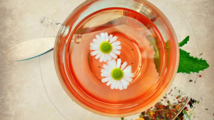 Снимка: freeimages