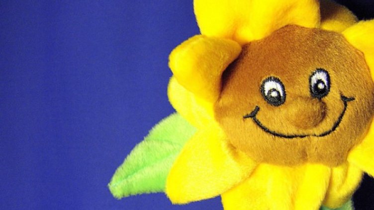 Снимка: freeimages