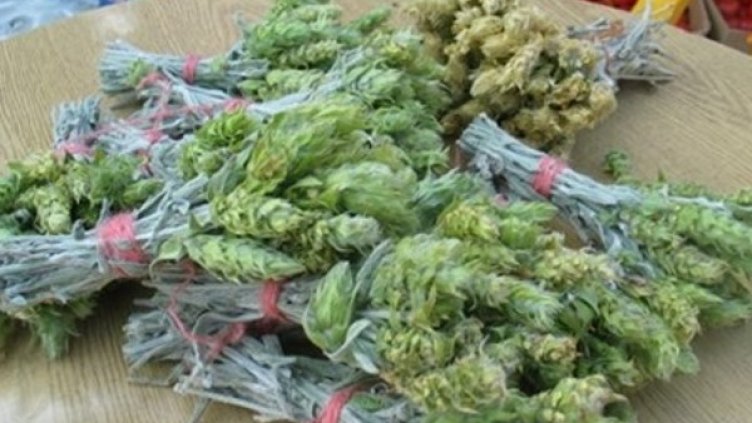 Снимка: "Труд"