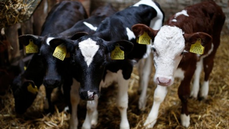 Снимка: архив, Reuters