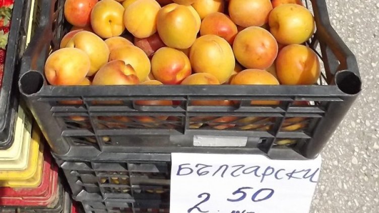 Снимка: БулФото