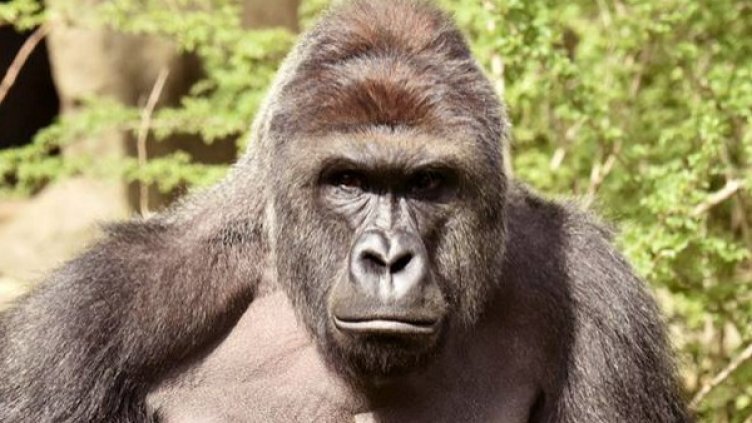 Снимка: архив, Reuters