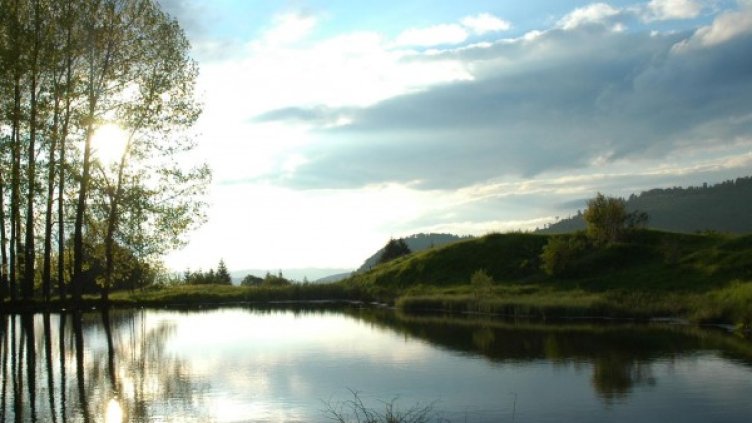 Снимка: Булфото, архив