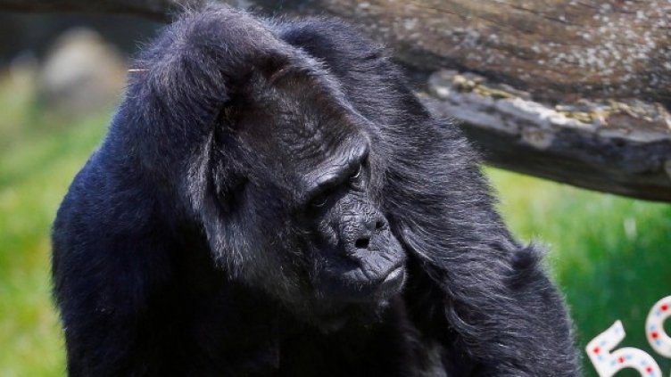 Снимка: архив Reuters