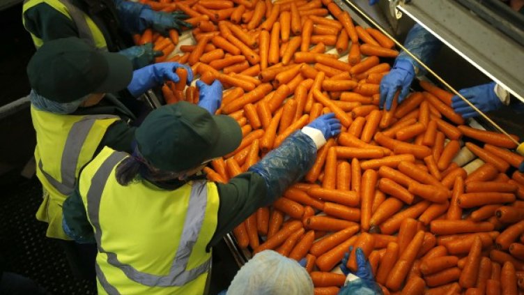 Снимка: Reuters, архив