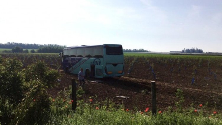 Снимка: БулФото