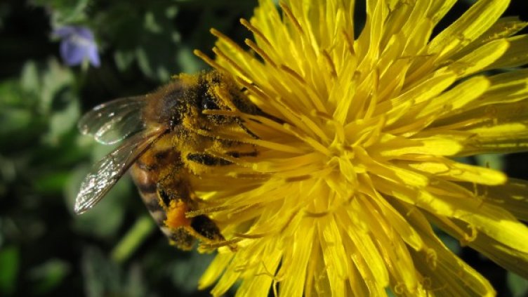 Снимка: БТА, архив