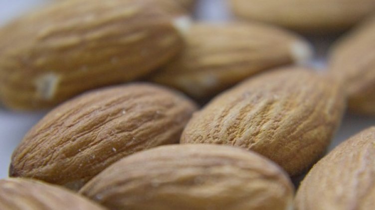 Снимка: freeimages