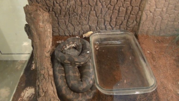 Снимка: Dnes.bg