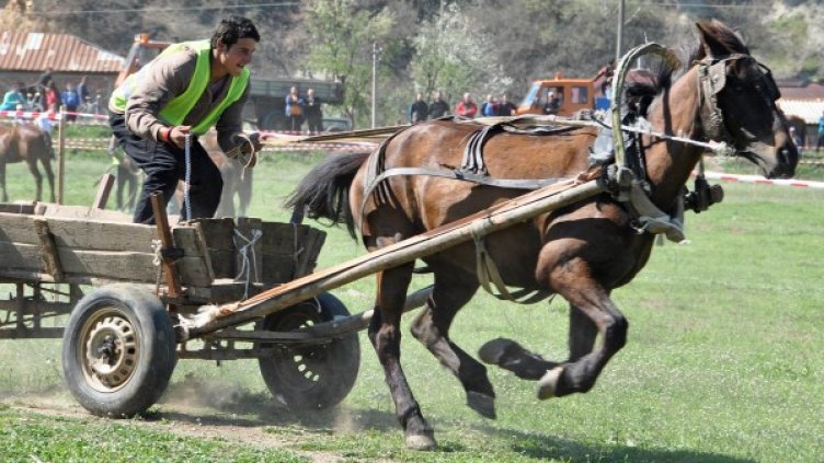 Снимка: Булфото, архив