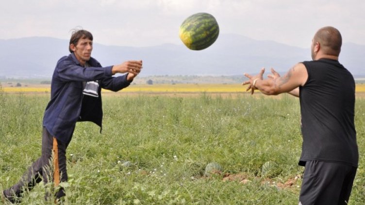 Снимка: архив Булфото