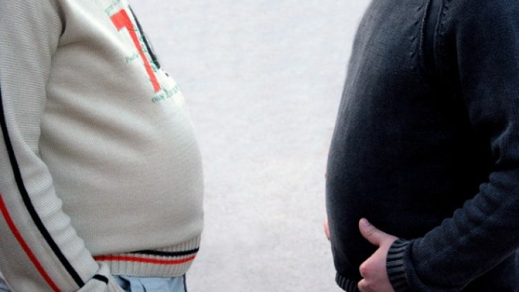 Снимка: freeimages