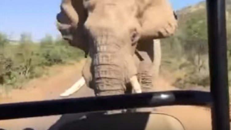 Снимка: Youtube