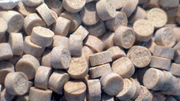 Снимка: Булфото, архив