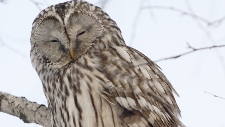 Снимка: Reuters, архив