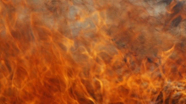 Снимка: Reuters, архив