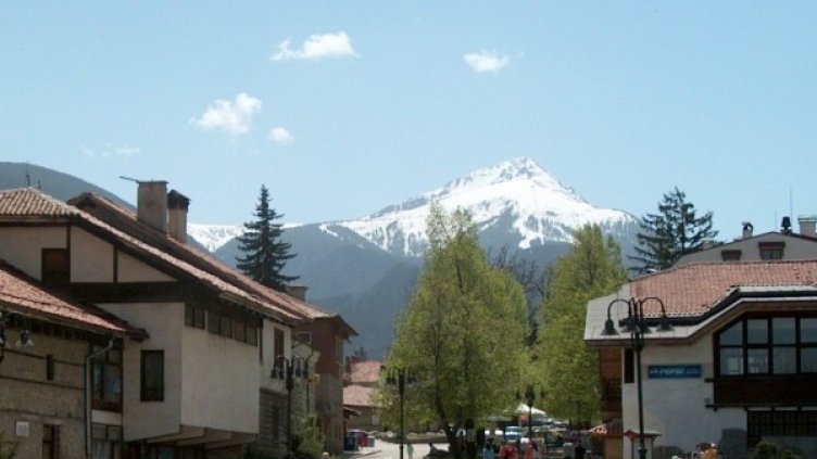 Архив: Булфото