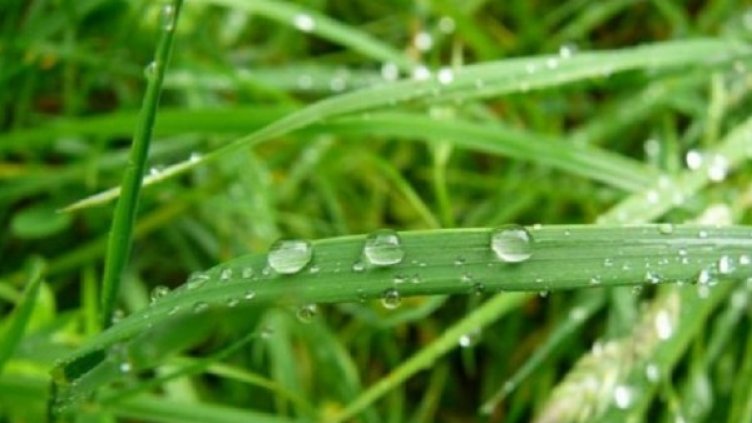 Снимка: flickr